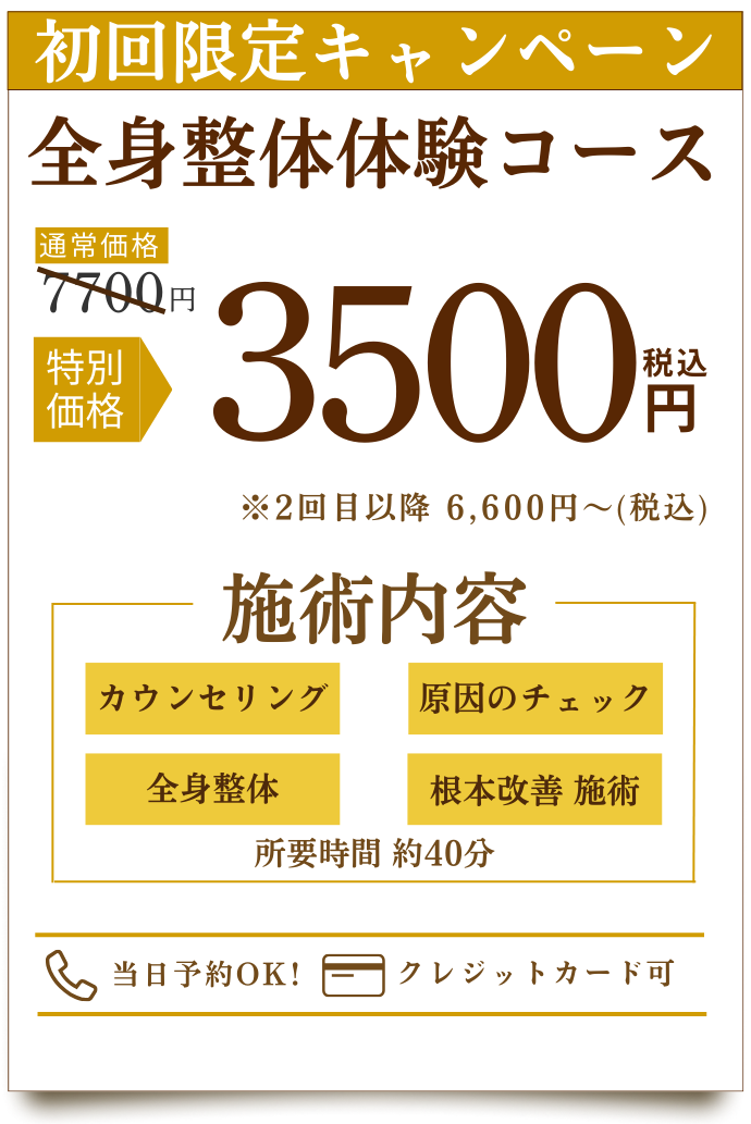 初回限定キャンペーン全身整体体験コース